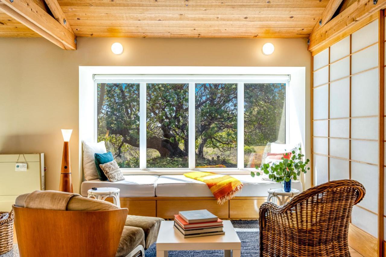 Madrone Cottage Sea Ranch Ngoại thất bức ảnh